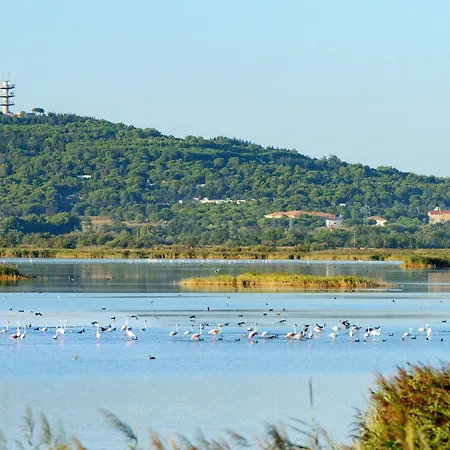 Les Indes Galantes By Interhome Appartement